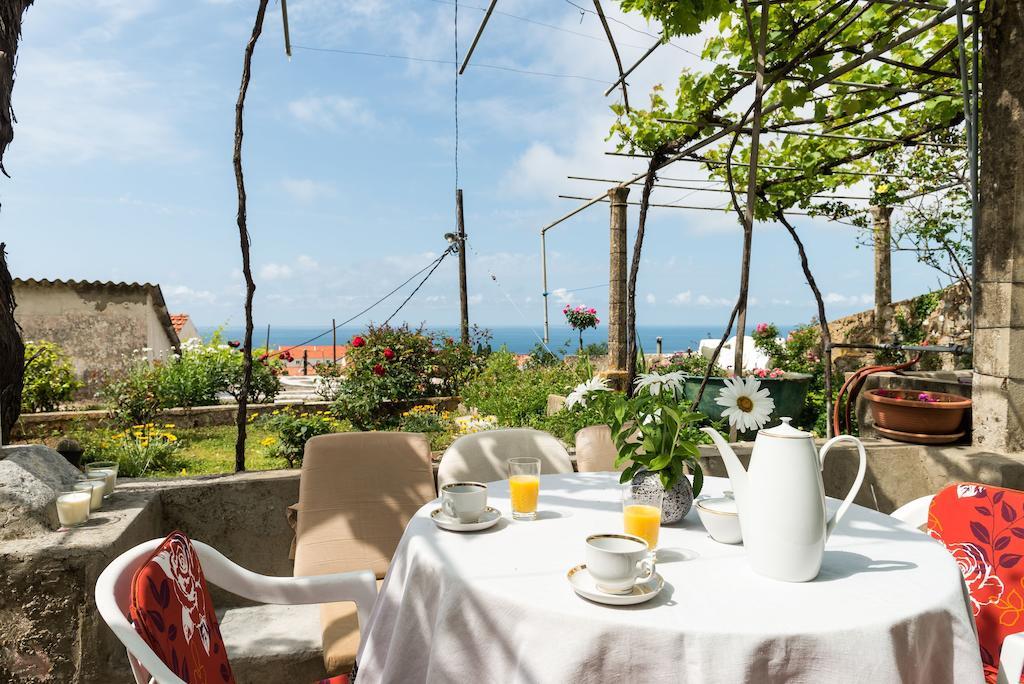 דוברובניק House Verde - Private House With Seaview חדר תמונה